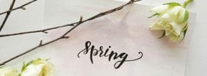 Spring Flowers Feel Good