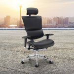 Register For A Business Account Today 2 Dynamo Ergo Chair In Mesh Or Leather