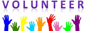 volunteer