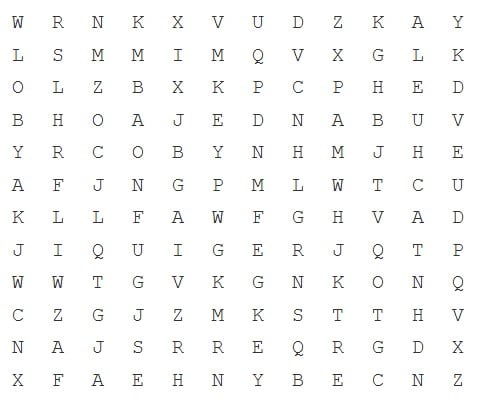 Octopus Wordsearch Competition November 2025